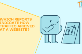 Which Reports Indicate How Traffic Arrived At A Website?
